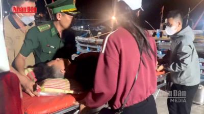 [Video] Gia Lai: Cấp cứu ngư dân khi đang đánh bắt trên biển