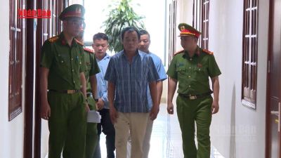 [Video] Thanh Hóa khởi tố đối tượng mua lợn bệnh bán ra thị trường