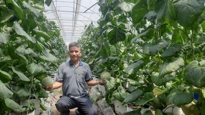 Đưa sản phẩm sạch, an toàn đến người tiêu dùng