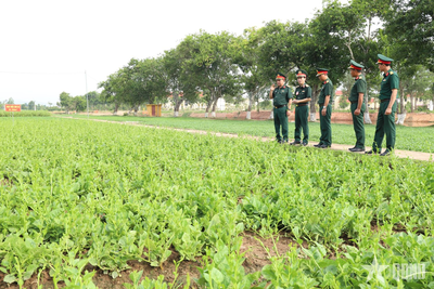 Quân đoàn 12 khai mạc hội thi 'Tăng gia sản xuất, chế biến tập trung'