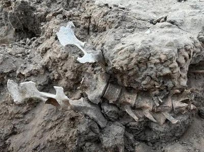 Khai quật ngôi mộ hơn 1.000 năm tuổi, phát hiện thứ không ngờ