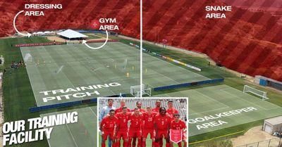 Đội tuyển Thụy Sĩ cảnh báo về rắn độc tại nơi tập luyện World Cup 2026