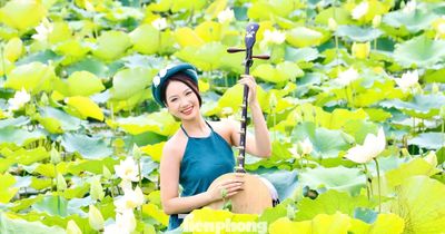 Đắm đuối mùa sen Hà Nội