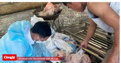 Tạm giữ 4 đối tượng mua bán, tiêu thụ lợn nhiễm dịch tả lợn châu Phi
