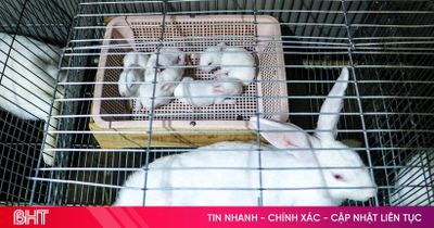 Một dư địa kinh tế khác ở Thiên Cầm