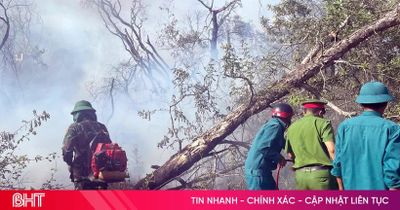 Nhanh chóng dập tắt cháy rừng ở Kỳ Anh