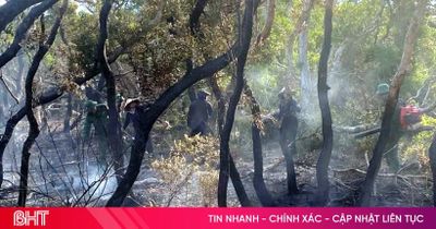 Nhanh chóng dập tắt cháy rừng ở Kỳ Anh