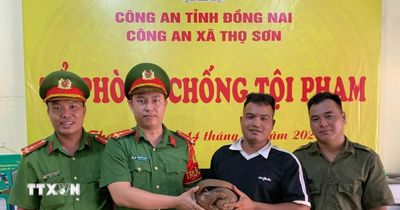 Đồng Nai: Phát hiện tê tê Java quý hiếm bò vào sân nhà dân