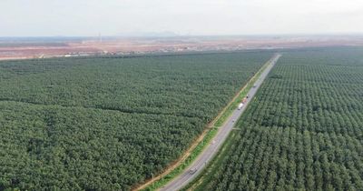 Đồng Nai: Cuối tháng 6 hoàn thành phê duyệt bồi thường 6 dự án trọng điểm