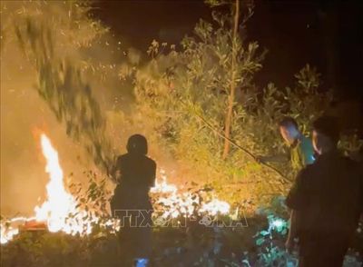 Hàng trăm người nỗ lực chữa cháy rừng trong đêm ở Nghệ An