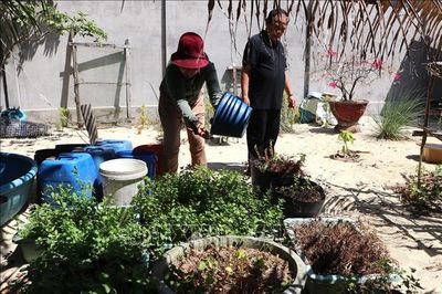 Quảng Ngãi: Khẩn trương khắc phục thiếu nước sạch cho khoảng 1.400 hộ dân