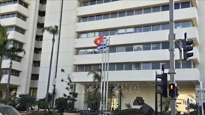 ĐSQ Việt Nam tại Israel khuyến cáo công dân tăng cường các biện pháp bảo đảm an toàn