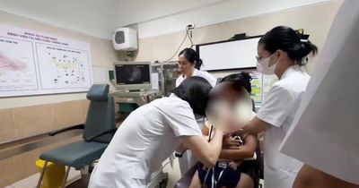 Bác sĩ sốc khi thấy nhiều bọ chét trong tai bé gái 2 tuổi