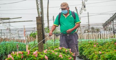 Nông dân Việt dần thích nghi thời đại số