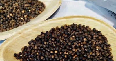 Giá nông sản hôm nay (8/6): Giá cà phê và hồ tiêu đồng loạt giảm