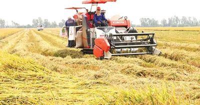 Cắt giảm 11 thủ tục hành chính lĩnh vực trồng trọt và bảo vệ thực vật