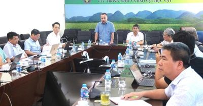 Từ 1/7, địa phương được cấp chứng nhận gạo thơm xuất khẩu sang EU, Anh