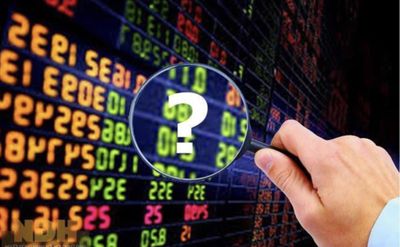 SGI Capital: Thị trường bắt đầu xuất hiện nhiều hơn các cơ hội đơn lẻ với định giá hấp dẫn