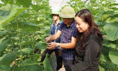 Bắc Ninh ứng dụng công nghệ, phát triển kinh tế nông nghiệp tuần hoàn