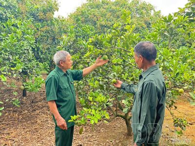 'Khoác áo mới' trên đồng đất cũ