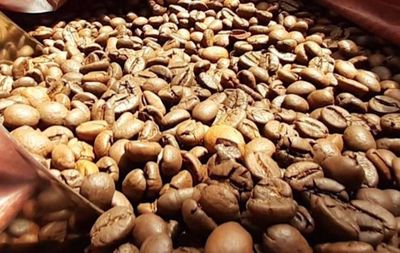 Hồ tiêu giảm giá tuần thứ 3 liên tiếp, cà phê giữ mức ổn định