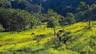Chấn chỉnh hoạt động trekking, camping tự phát tại Vườn Quốc gia Núi Chúa - Phước Bình
