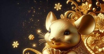 Tuần mới của 12 con giáp 8/6 - 14/6: Tuổi Thìn khởi sắc, tuổi Hợi biến động