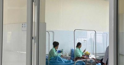 Lâm Đồng báo động nguy cơ ngộ độc nấm mùa mưa