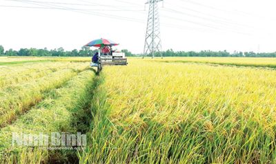 Ninh Bình xây dựng nền nông nghiệp sinh thái, hiện đại, bền vững: (Bài 2) Khát vọng dựng xây nền nông nghiệp xanh