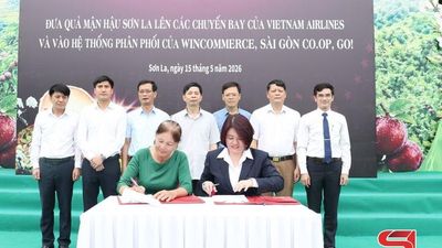 Nông nghiệp hữu cơ - hướng đi bền vững cho nông dân vùng biên