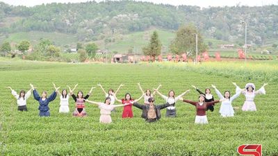 Phát triển du lịch sinh thái vùng chè
