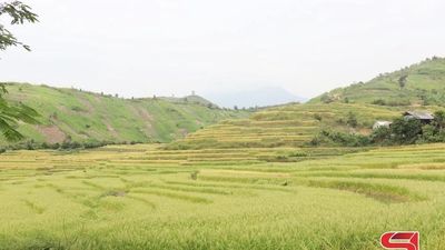 Hứa hẹn vụ mùa bội thu