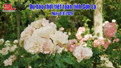 Bản tin thời tiết toàn tỉnh Sơn La ngày 9/06/2026