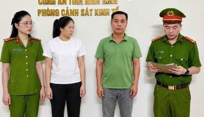 Khởi tố nữ giám đốc doanh nghiệp cây xanh ở Ninh Bình vì trốn thuế hơn 3 tỷ đồng