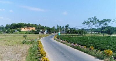 Thái Nguyên phê duyệt phân nhóm xã thực hiện Bộ tiêu chí nông thôn mới giai đoạn 2026 – 2030