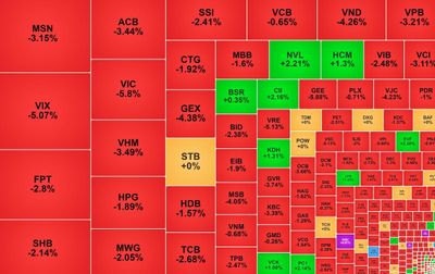 VN-Index mất gần 50 điểm, một mã bất động sản ngược dòng tăng trần