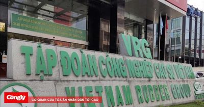 Vì sao Tập đoàn Cao su Việt Nam vẫn giữ tư cách đại chúng dù chưa đạt chuẩn?