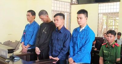 Hơn 28 năm tù cho nhóm đối tượng góp tiền mua 'hàng đá'