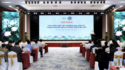 Mở ra tầm nhìn rộng hơn trong hợp tác Hà Nội và Cần Thơ