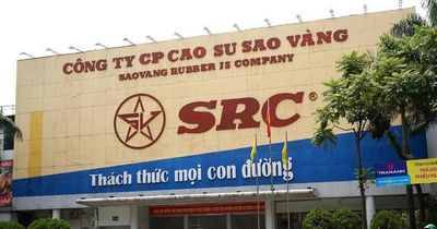 Lãi quý I tăng trưởng hơn 240%, Cao su Sao Vàng (SRC) sắp chốt quyền nhận 'combo' cổ tức tiền mặt và cổ phiếu thưởng