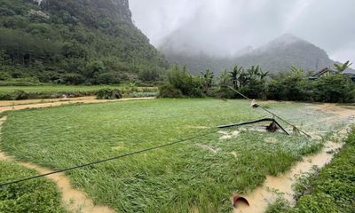 Chủ động ứng phó với mưa lớn, lũ quét, sạt lở đất, lốc, sét, mưa đá, gió giật mạnh