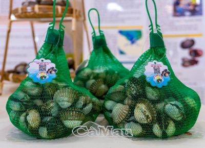 Khẳng định thương hiệu sò huyết Cà Mau
