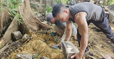 Phát hiện gần 40 hài cốt thai nhi nằm rải rác ở các gốc cây, bờ tường tại Ninh Bình