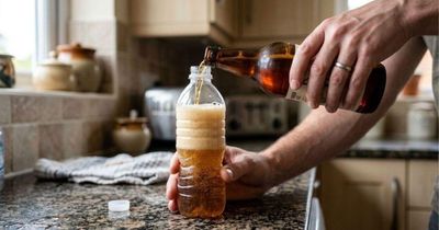 Đừng vội đổ bia thừa, nhiều gia đình dùng để đuổi loại côn trùng này