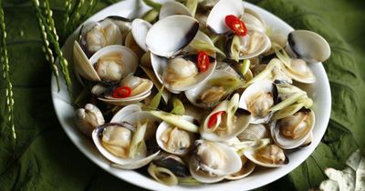 Ngao ngâm cả tiếng vẫn đầy cát? Hóa ra nhiều người bỏ qua mẹo đơn giản này