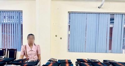 Sao chép mẫu thiết kế bằng AI, chủ thương hiệu 'Áo dài Đất Lành' bị khởi tố