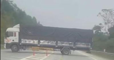 Quay đầu xe trên cao tốc, tài xế bị phạt tới 40 triệu đồng