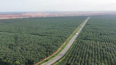 Đồng Nai: Phê duyệt phương án bồi thường 6 dự án trọng điểm trước 30/6