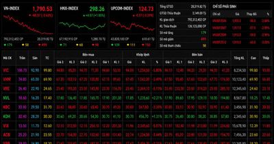 Chứng khoán đỏ lửa, VN-Index lùi sâu dưới mốc 1.800 điểm