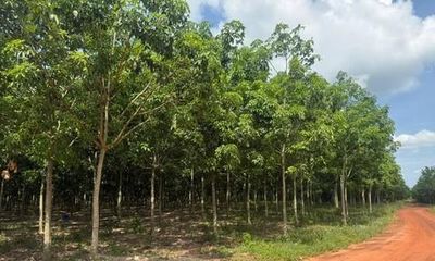 Mong mỏi của người dân ở hồ Dầu Tiếng